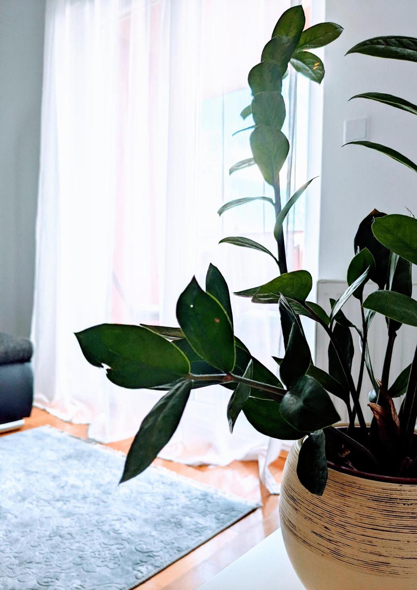 Doma-Lu Apartment-Near Airport And Highway- Free Parking Velika Mlaka 외부 사진